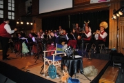 Neujahrs-Serenade 2010