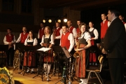 Neujahrs-Serenade 2011