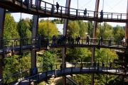 Vereinsausflug Nationalpark Bayerischer Wald