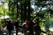 Vereinsausflug Nationalpark Bayerischer Wald