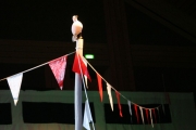 Neujahrs-Serenade 2012