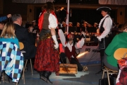 Neujahrs-Serenade 2012