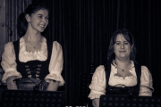 Neujahrs-Serenade 2013