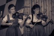 Neujahrs-Serenade 2013