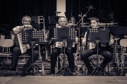 Neujahrs-Serenade 2013